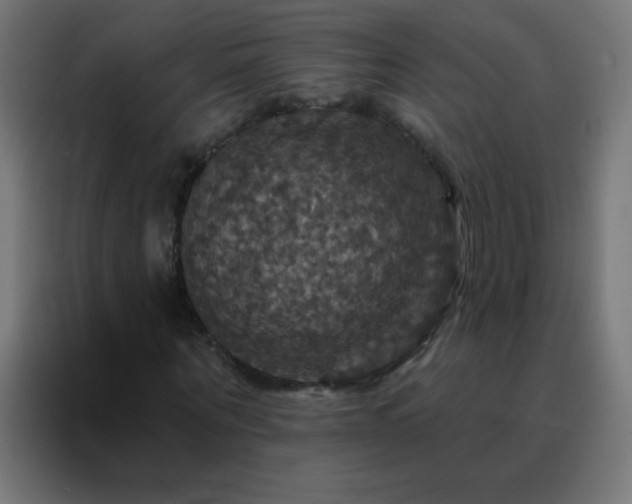 X0000088200867200705221721