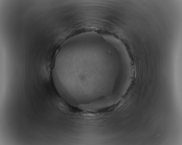 X0000088200868200705221721
