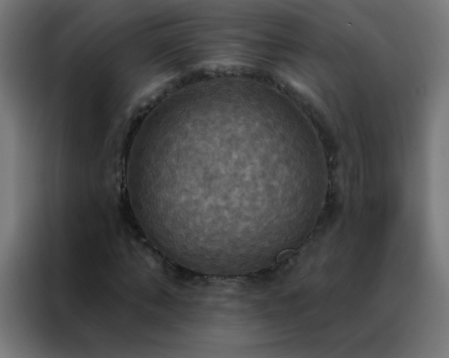 X0000088200870200705221721