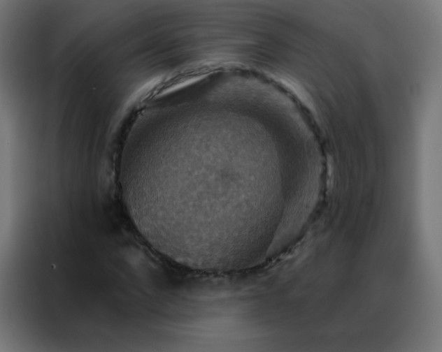 X0000088200872200705221721