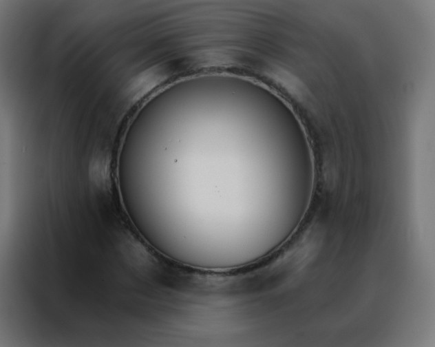 X0000088200873200705221720