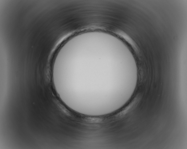X0000088200878200705221720
