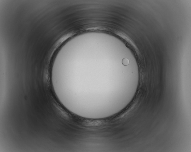 X0000088200882200705221720
