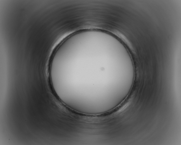 X0000088200885200705221720