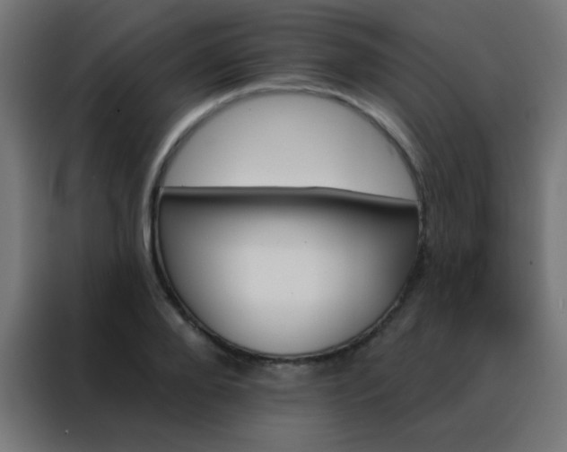 X0000088200888200705221720