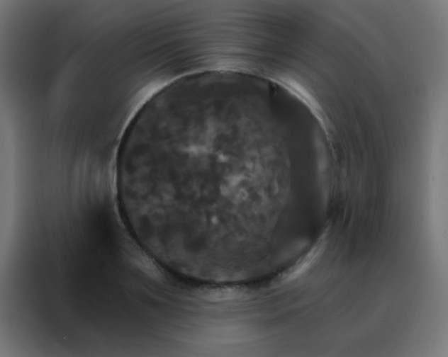 X0000088200891200705221720