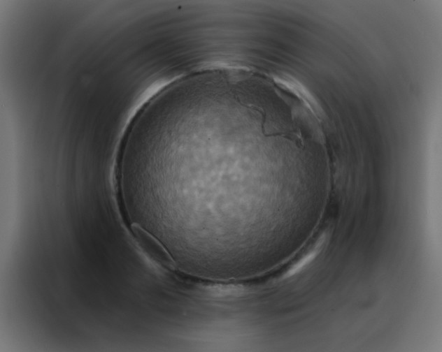 X0000088200893200705221720