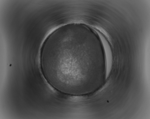 X0000088200894200705221720