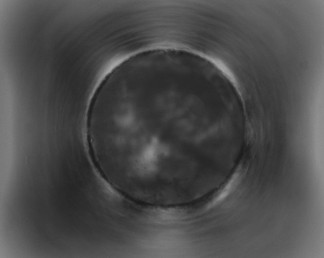 X0000088200895200705221720