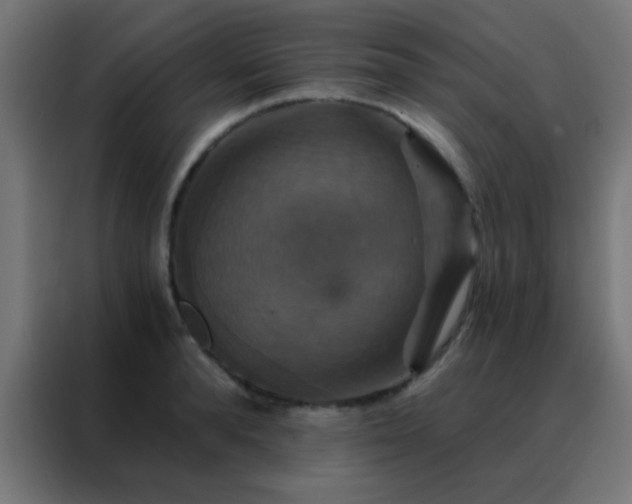 X0000088200896200705221720