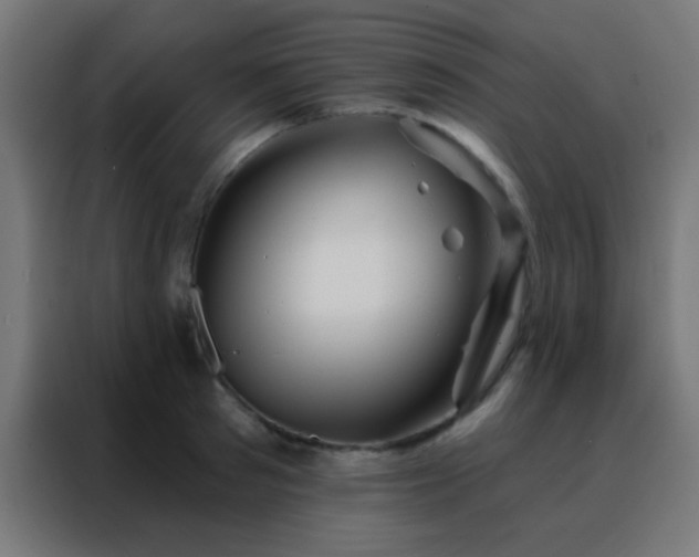 X0000088200897200705221720