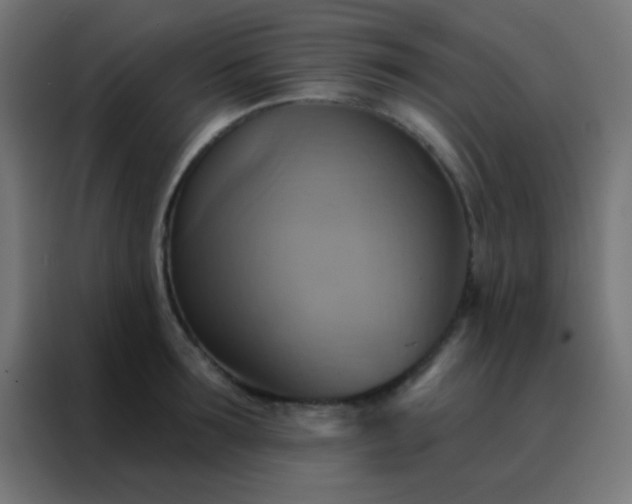 X0000088200899200705221720