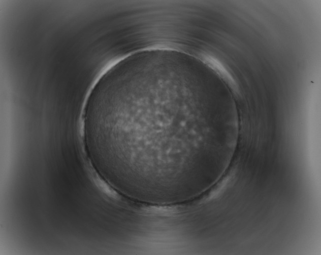 X0000088200900200705221720