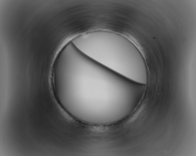 X0000088200901200705221720