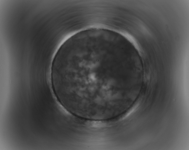 X0000088200903200705221720