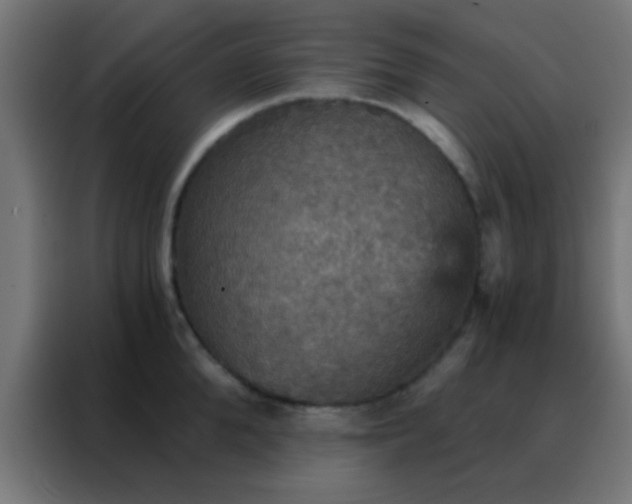 X0000088200904200705221720