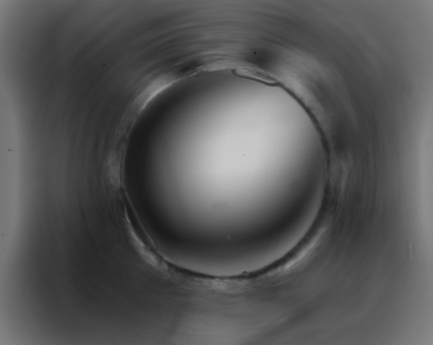 X0000088200905200705221720