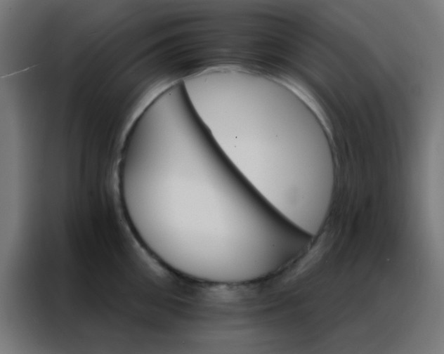 X0000088200906200705221720