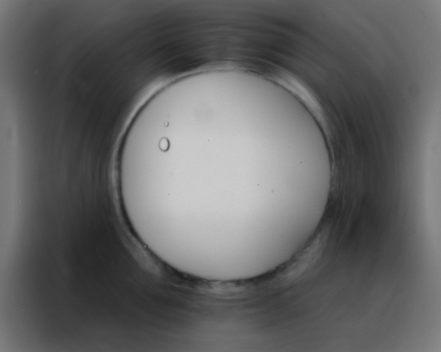 X0000088200907200705221720