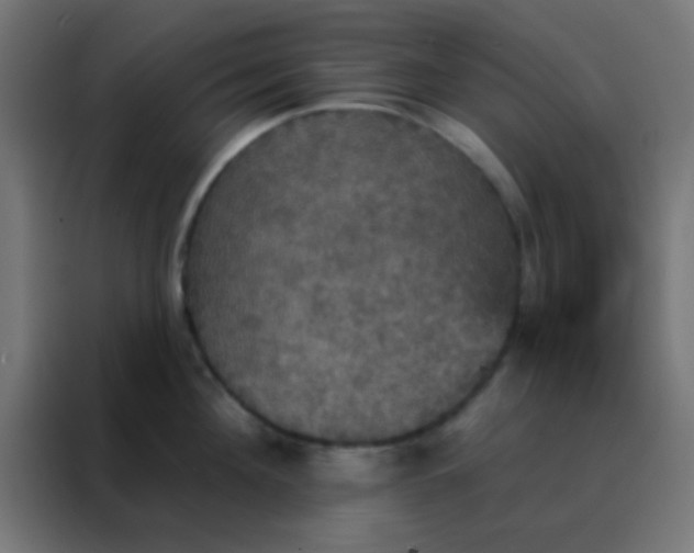 X0000088200908200705221720