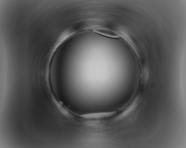 X0000088200909200705221720