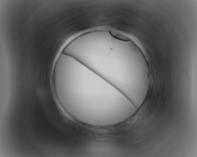X0000088200911200705221720