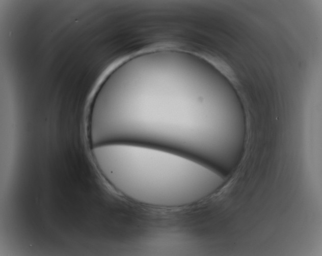 X0000088200912200705221720
