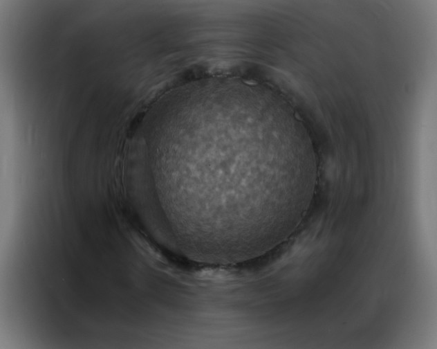 X0000088200914200705221719