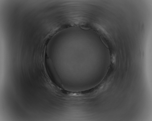 X0000088200915200705221719