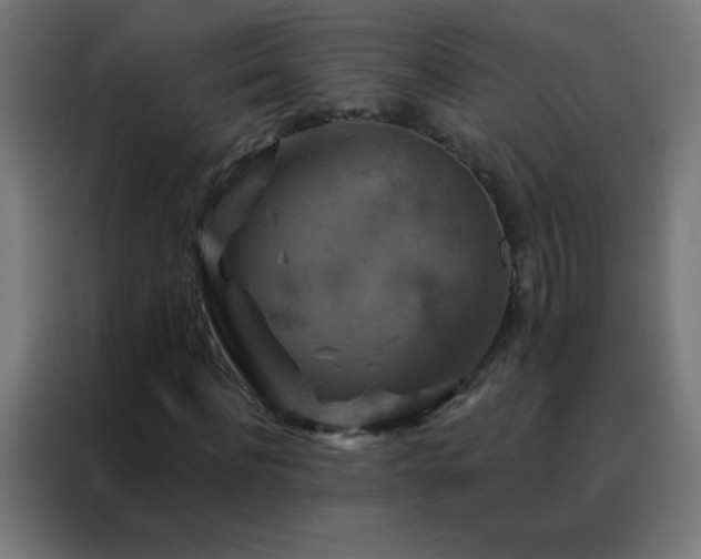 X0000088200916200705221719