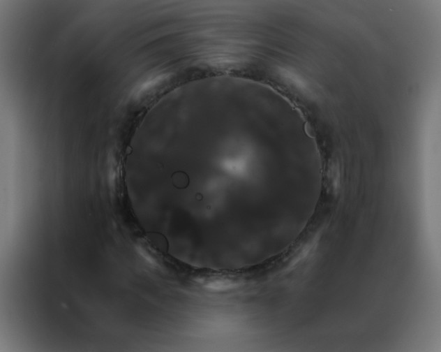X0000088200917200705221719