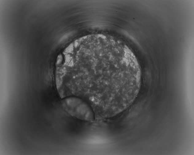 X0000088200918200705221719