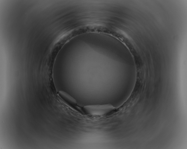 X0000088200919200705221719