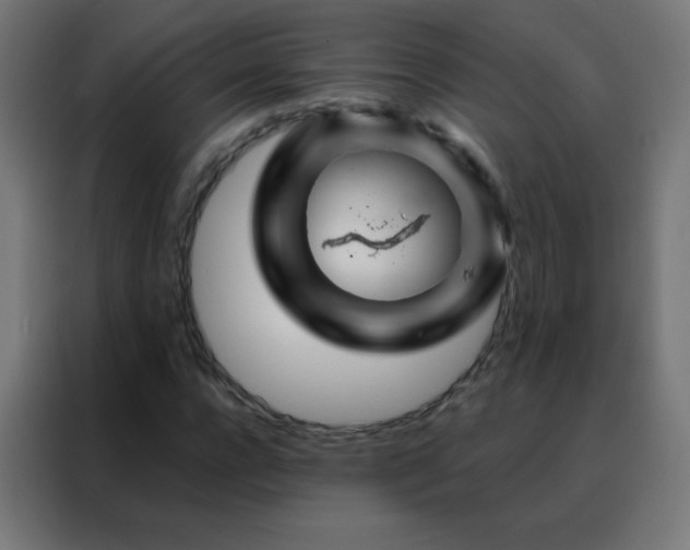 X0000088200920200705221719