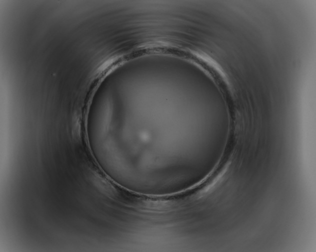 X0000088200921200705221719