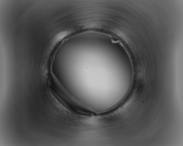 X0000088200922200705221719
