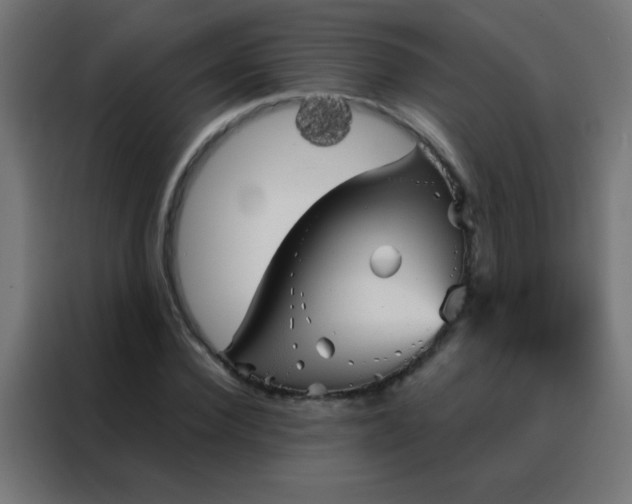 X0000088200924200705221719