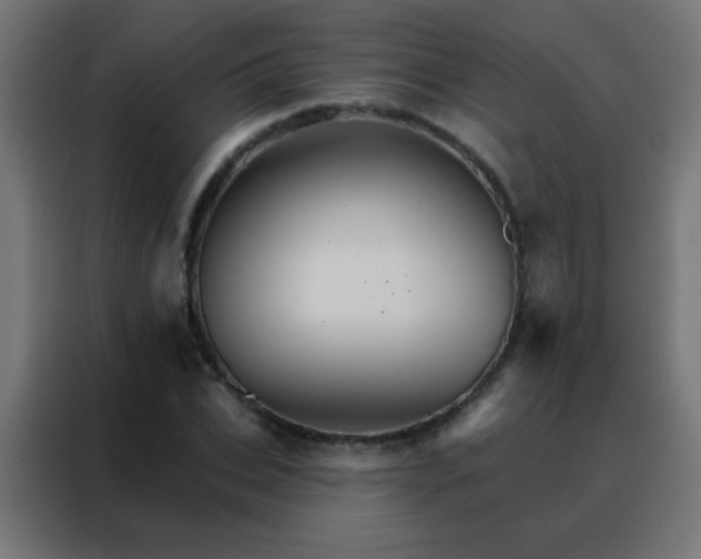 X0000088200927200705221720