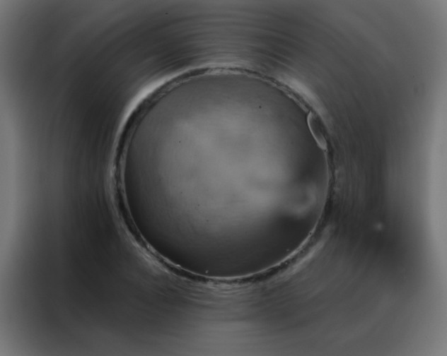 X0000088200928200705221720