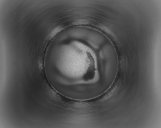 X0000088200929200705221720