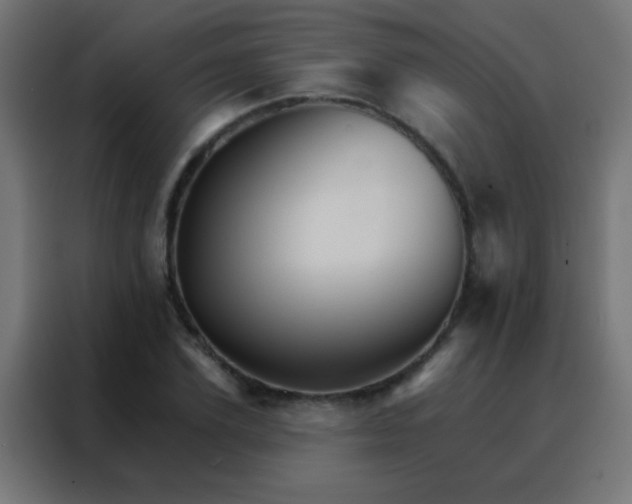 X0000088200931200705221720