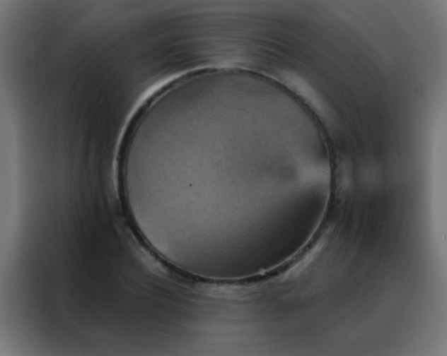 X0000088200932200705221720