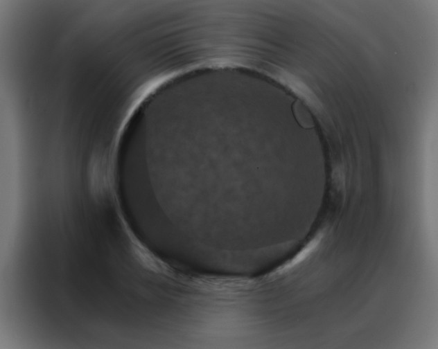 X0000088200934200705221720