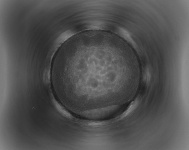 X0000088200938200705221720