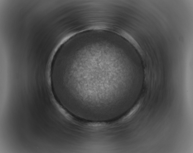X0000088200939200705221720