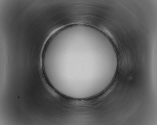 X0000088200940200705221720