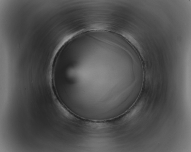 X0000088200941200705221720