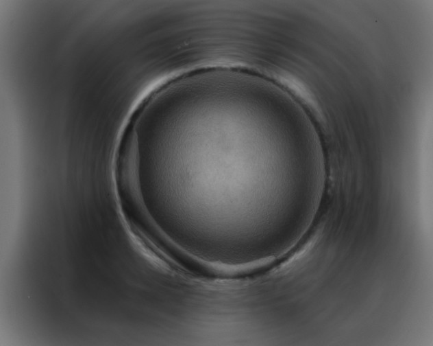 X0000088200942200705221720