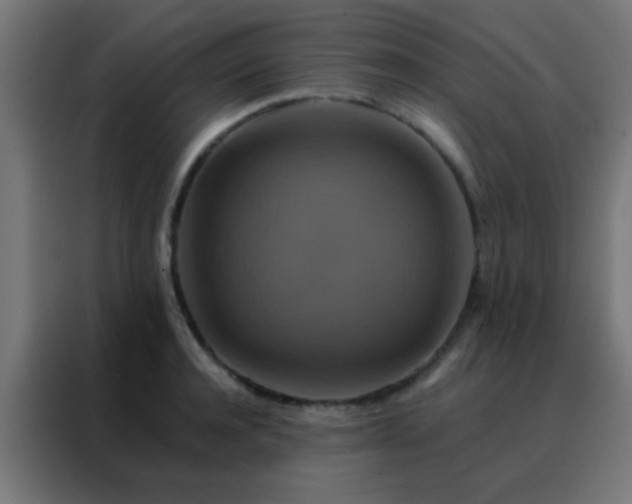 X0000088200944200705221720
