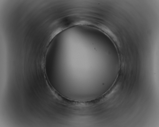 X0000088200945200705221720